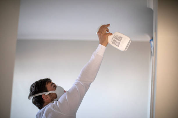 Best Home Mold Removal  in Haines City, FL
