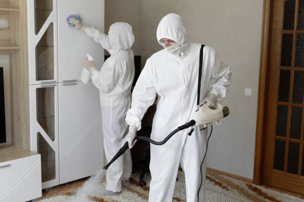 Professional Mold Removal in Haines City, FL