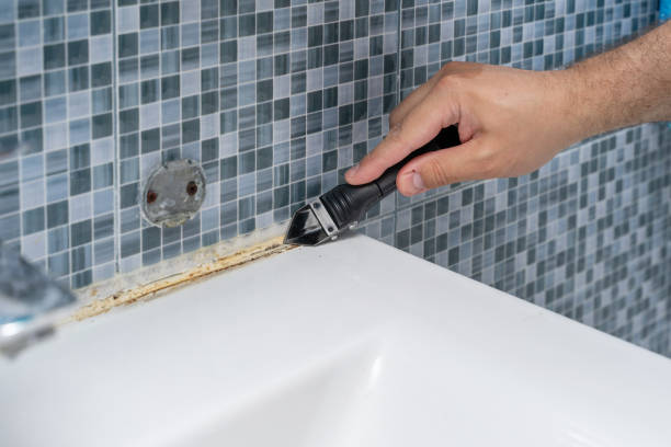 Best Office Mold Removal Services  in Haines City, FL
