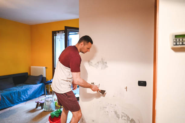 Best Affordable Mold Removal  in Haines City, FL